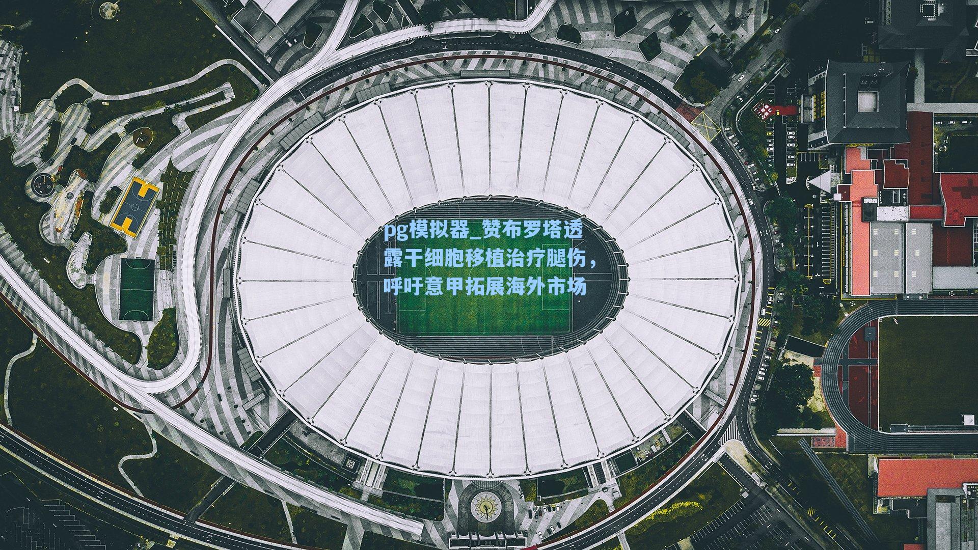 赞布罗塔透露干细胞移植治疗腿伤，呼吁意甲拓展海外市场